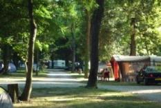 CAMPING DU LION