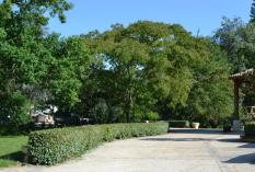 Domaine du Moulin des Sandaux