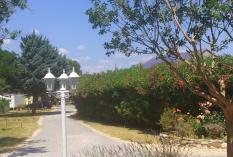 Camping l'Olivier