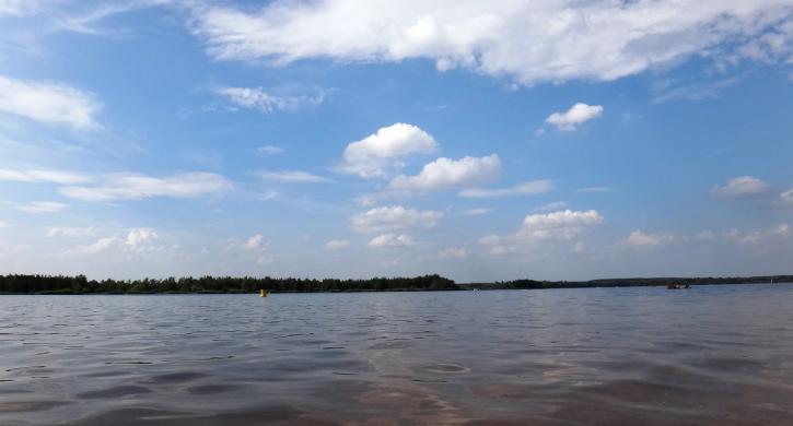 Senftenberger See