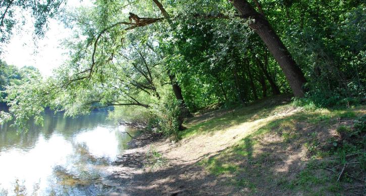 Flower Camping La Sagne