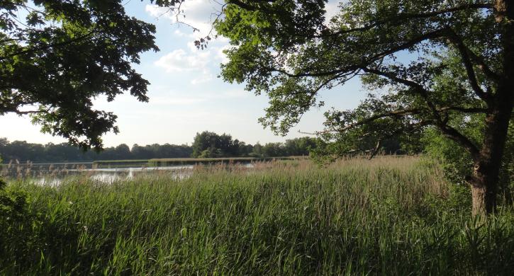 Umgebung Olbasee