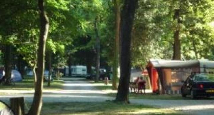 CAMPING DU LION