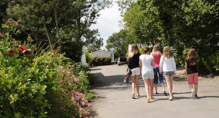 Flower Camping Le Petit Paris