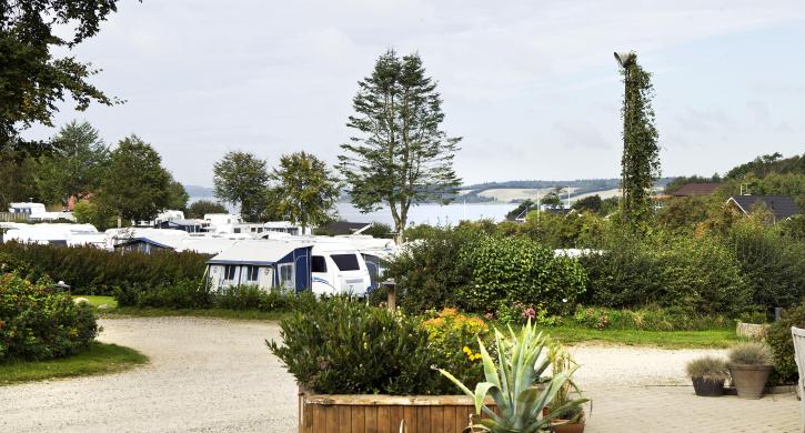 Hjarbæk Fjord Camping
