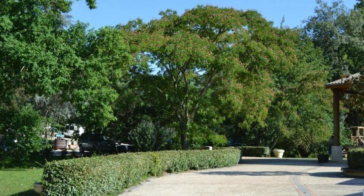 Domaine du Moulin des Sandaux