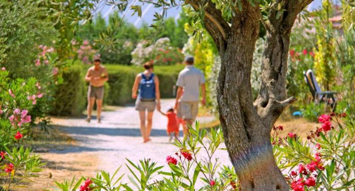 Camping A l'Ombre des Oliviers