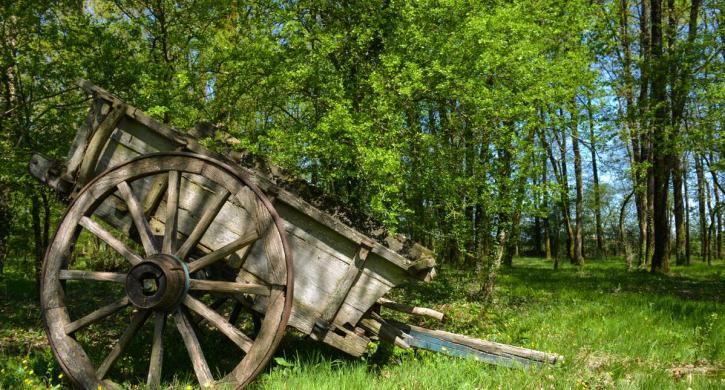 Domaine de l'Oiselière